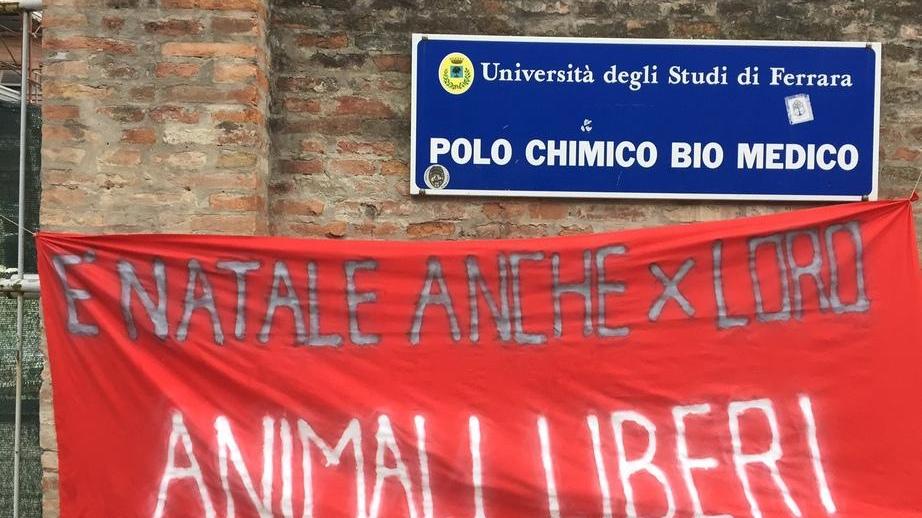 «Basta esperimenti crudeli, liberate i macachi»