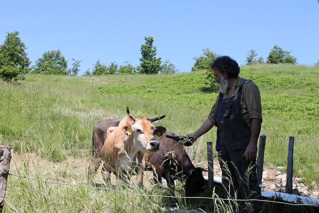 Pier Paolo Piagneri con alcuni dei suoi animali da pascolo