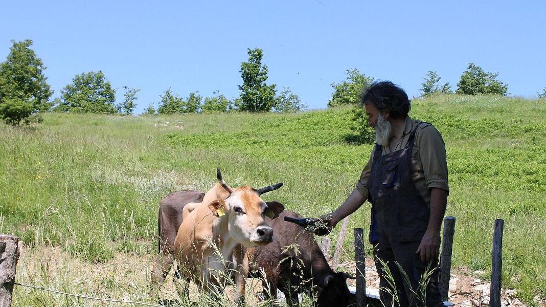 Pier Paolo Piagneri con alcuni dei suoi animali da pascolo