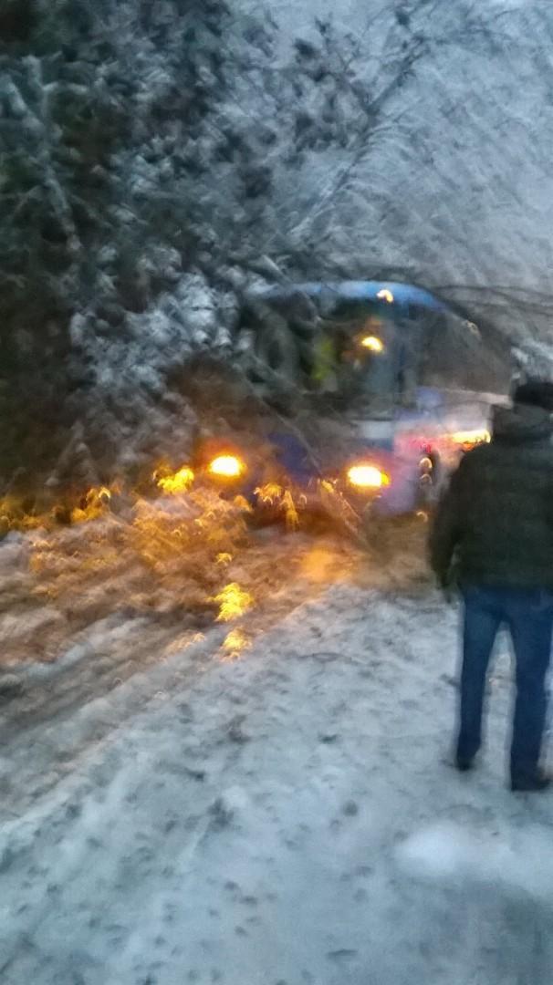 L'albero caduto sul pullman di linea all'altezza della frazione di Tani