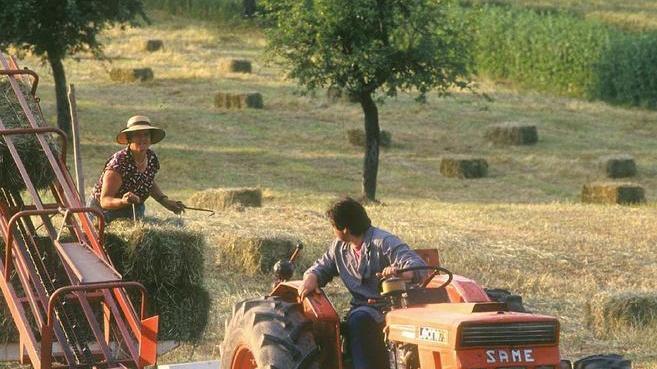 Va a Fivizzano la palma d’oro dell’agricoltura