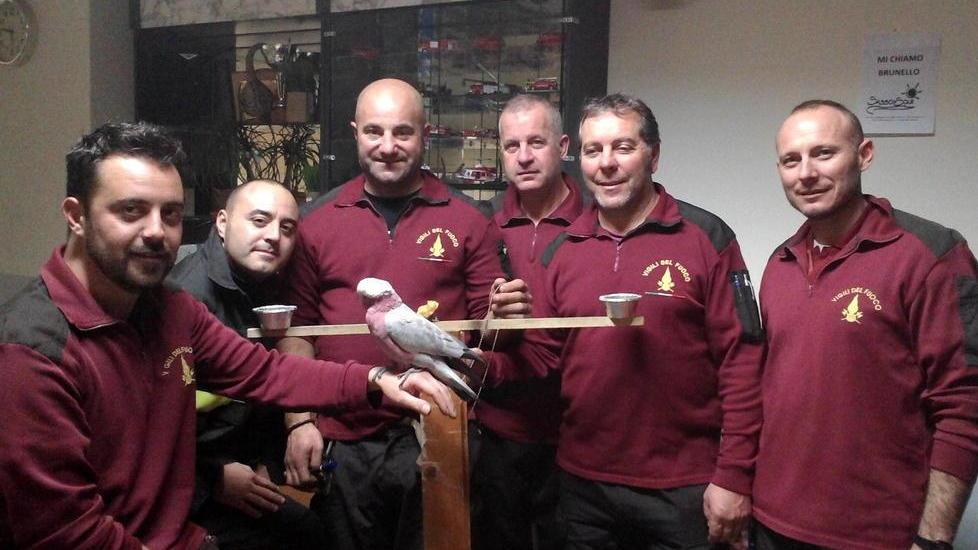 Fiamma ritrova la sua famiglia
