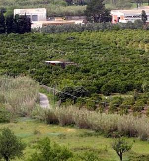 Imu agricola, udienza il 2 gennaio 