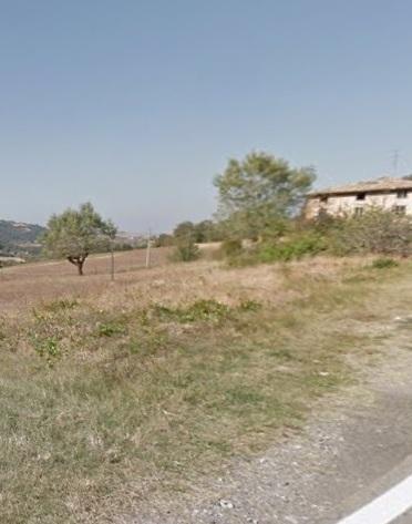 Presunti abusi edilizi Ma i terreni all’asta risultano edificabili 