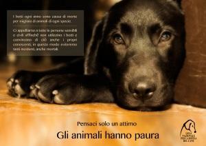 Il manifesto contro i botti di Capodanno