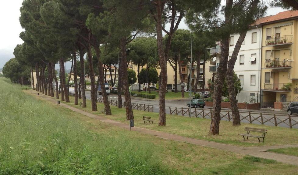 Rivoluzione verde a Castelfranco 