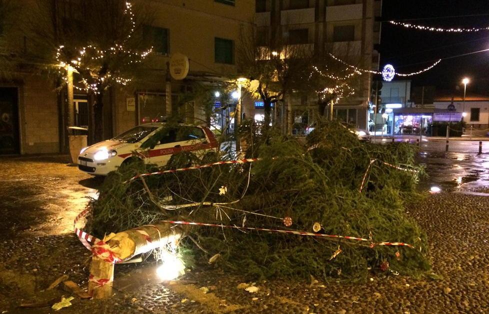 Il vento spezza in due l’albero di Natale 