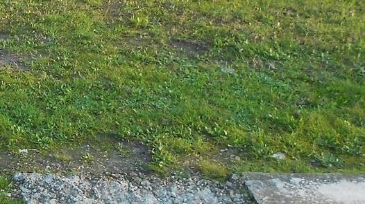 «Tanti problemi irrisolti a Corporeno»