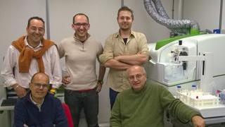Il team di rricerca