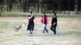 Un fotogramma del video girato da un cittadino sui maltrattamenti al cucciolo
