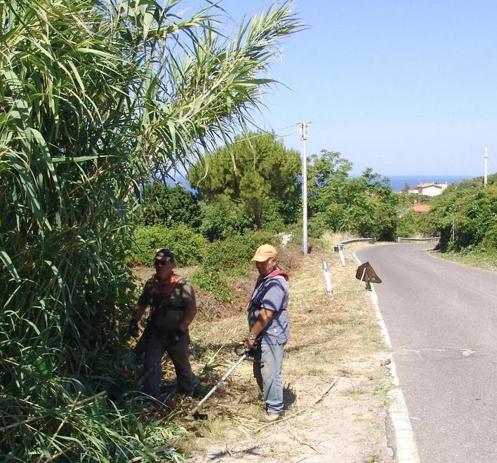 Nuova guida per i barracelli 
