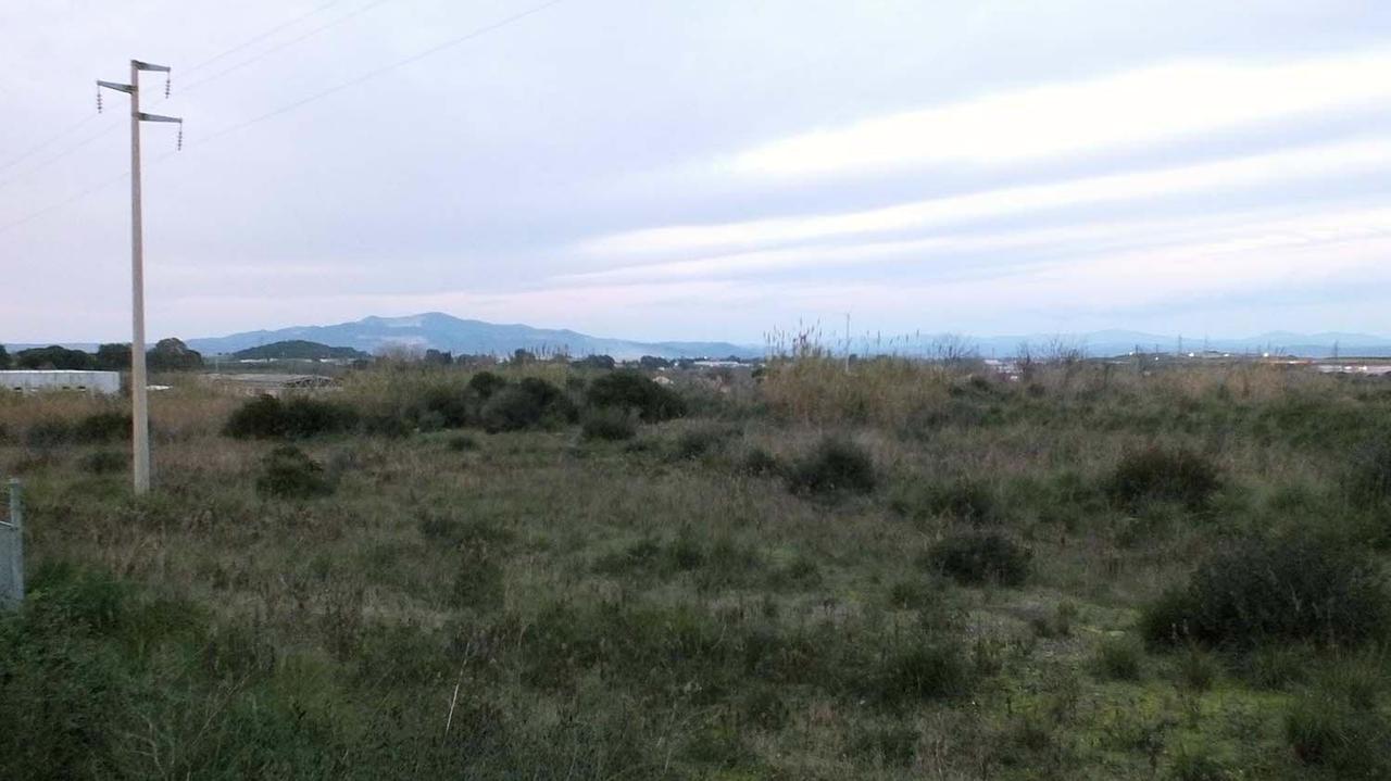 L'area nella zona del Gagno destinata alle imprese (foto Paolo Barlettani)