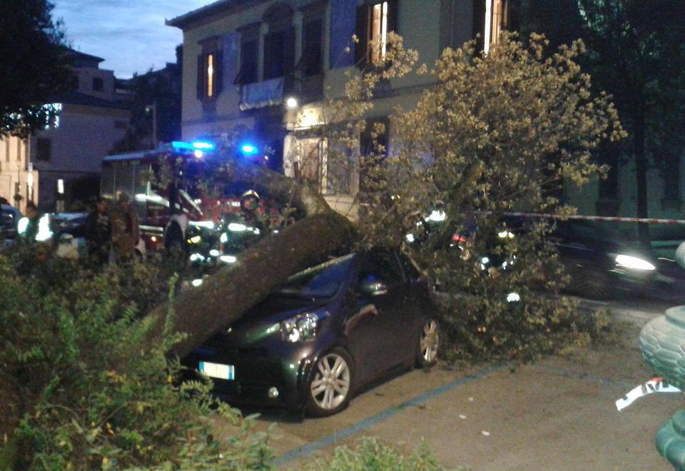 Montecatini: nuove verifiche sulle piante in città