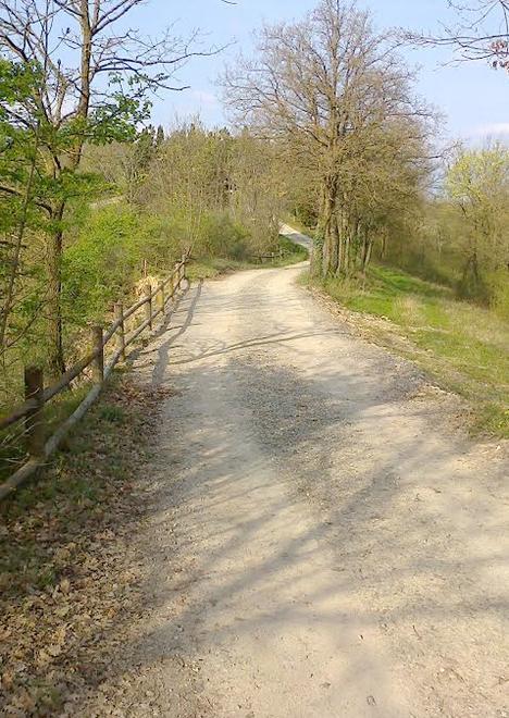 Il sindaco: «La tutela del territorio è interesse di tutti»
