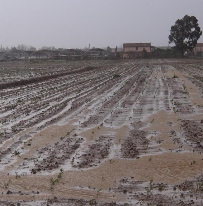 «Miseri contributi per l’agricoltura» 