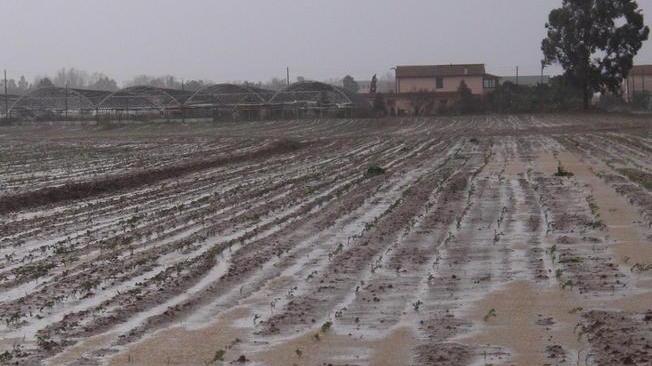 «Miseri contributi per l’agricoltura»