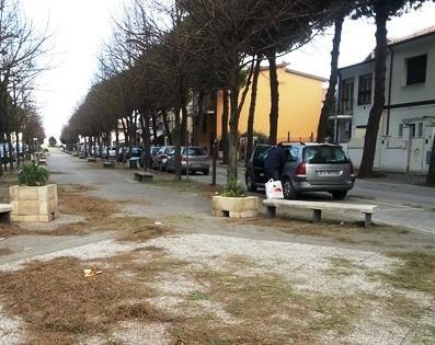 «Nessuno è passato a pulire» Commercianti inferociti 