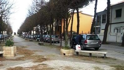 «Nessuno è passato a pulire» Commercianti inferociti