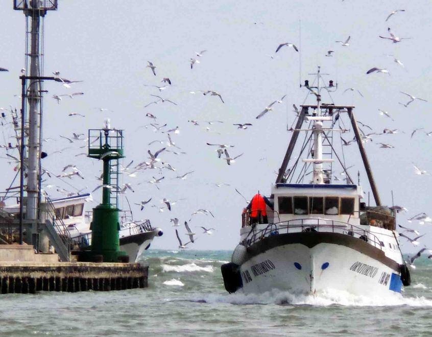 «Il mare chiede coraggio Porto Garibaldi risponde» 