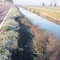 Via Canal Bianco, si cerca una soluzione definitiva 