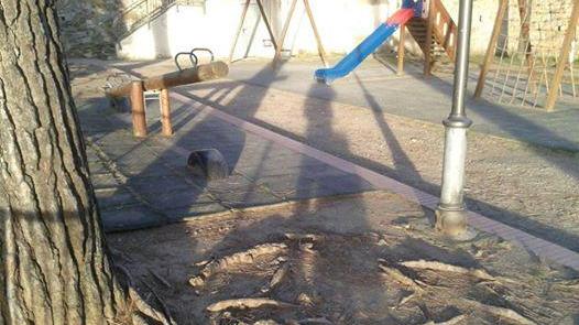 Il parco che sarà ristrutturato