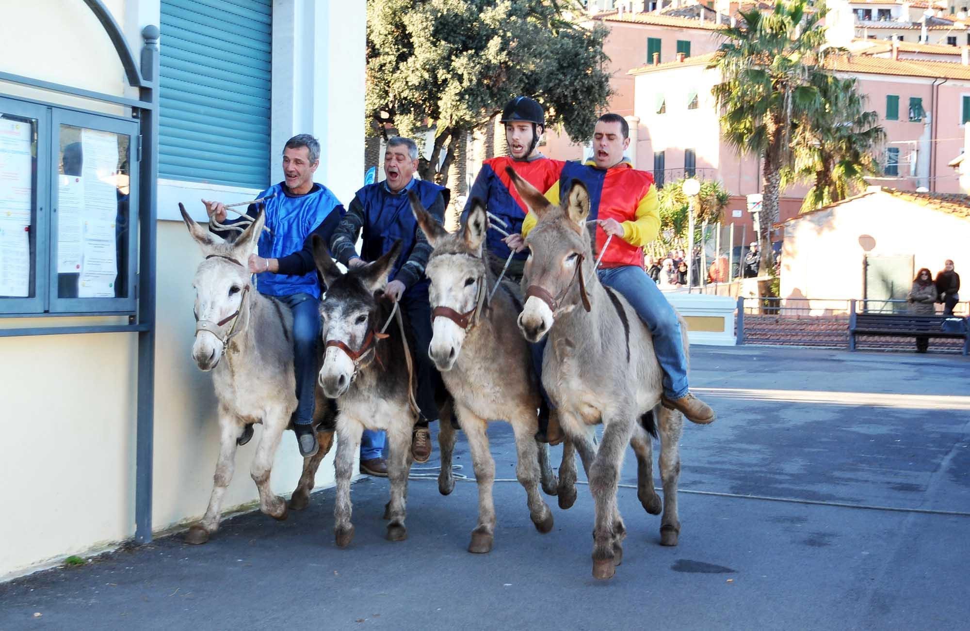 La corsa degli asini 