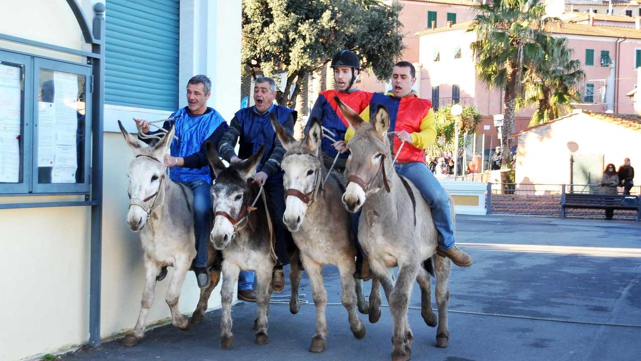 La corsa degli asini