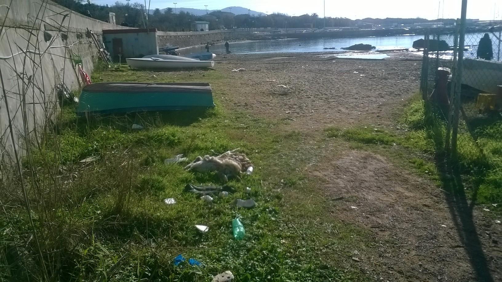 Una spiaggia sempre sporca, quella del Felciaio, denuncia un lettore del Tirreno
