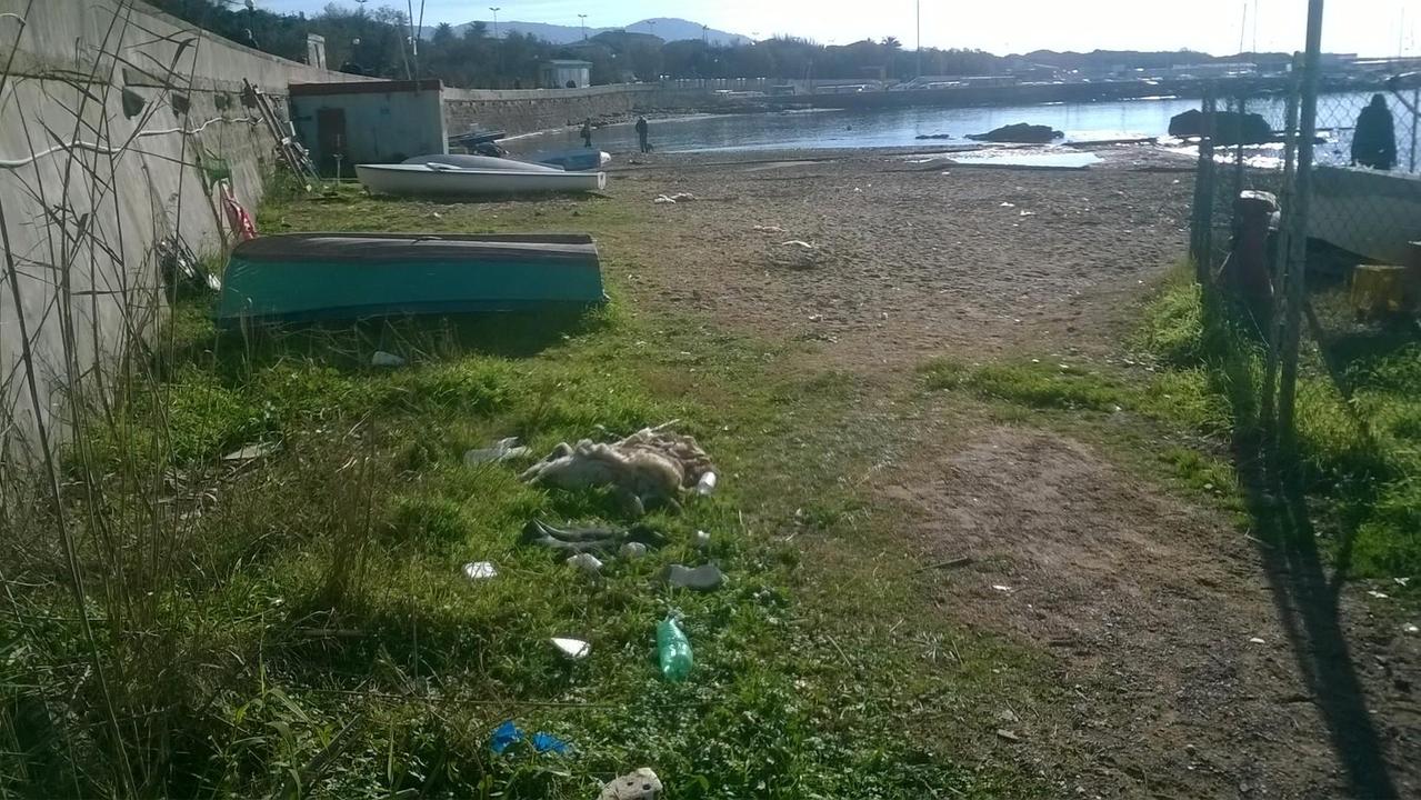 Una spiaggia sempre sporca, quella del Felciaio, denuncia un lettore del Tirreno