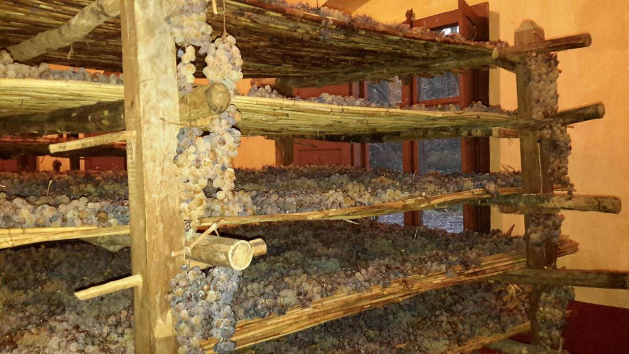 Le stuoie con l'uva per il Vin santo di Capezzana, premiato da Vitae con il punteggio massimo