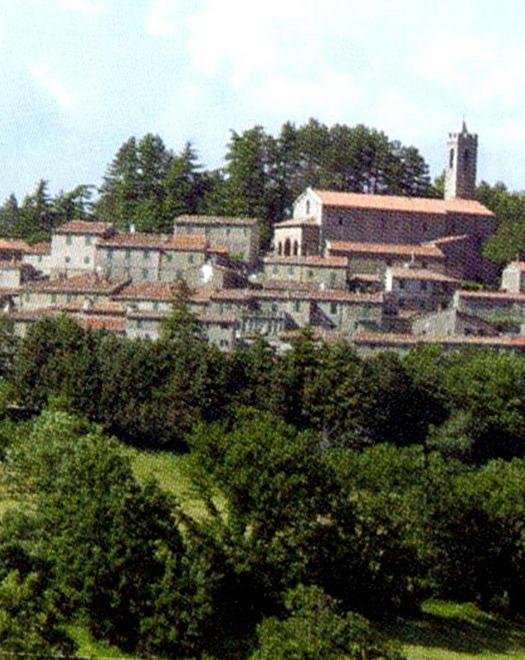 Strade vicinali, cantieri da 160mila euro 