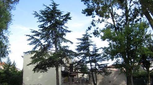 Raccolta firme per l’area sgambamento cani