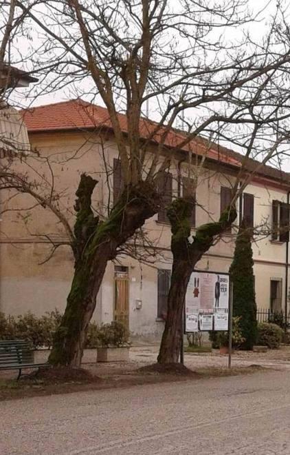 Viabilità, interventi sulle criticità 