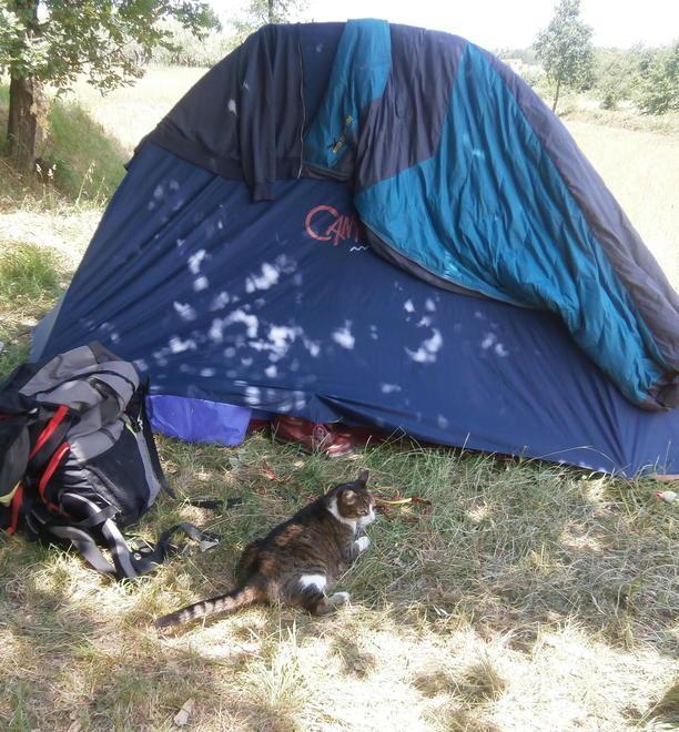 La tenda in cui durante l'estate hanno vissuto Lisa e il compagno