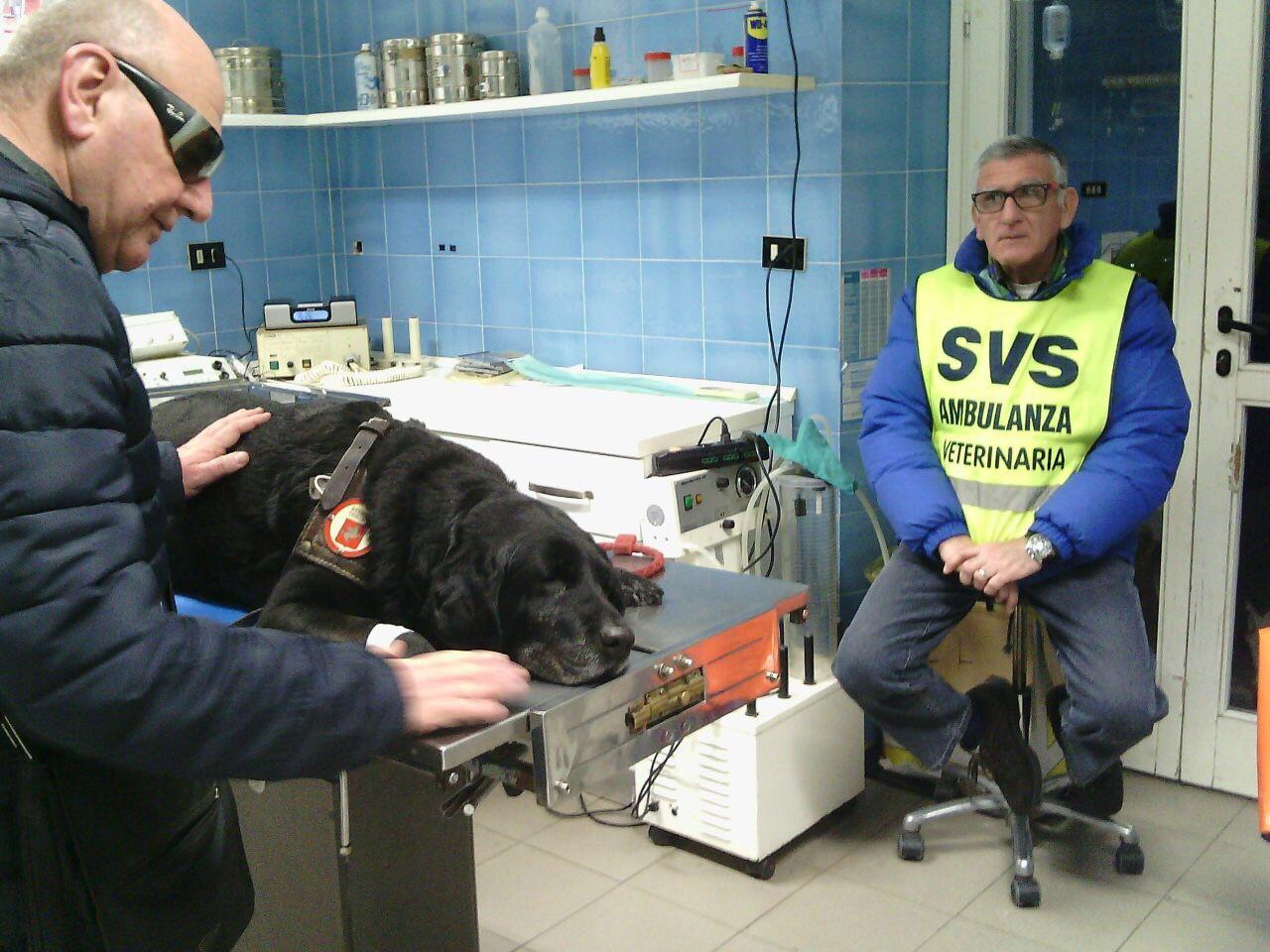 Fulvio accarezza con amore il suo Vernice accudito dai volontari dalla Svs veterinaria