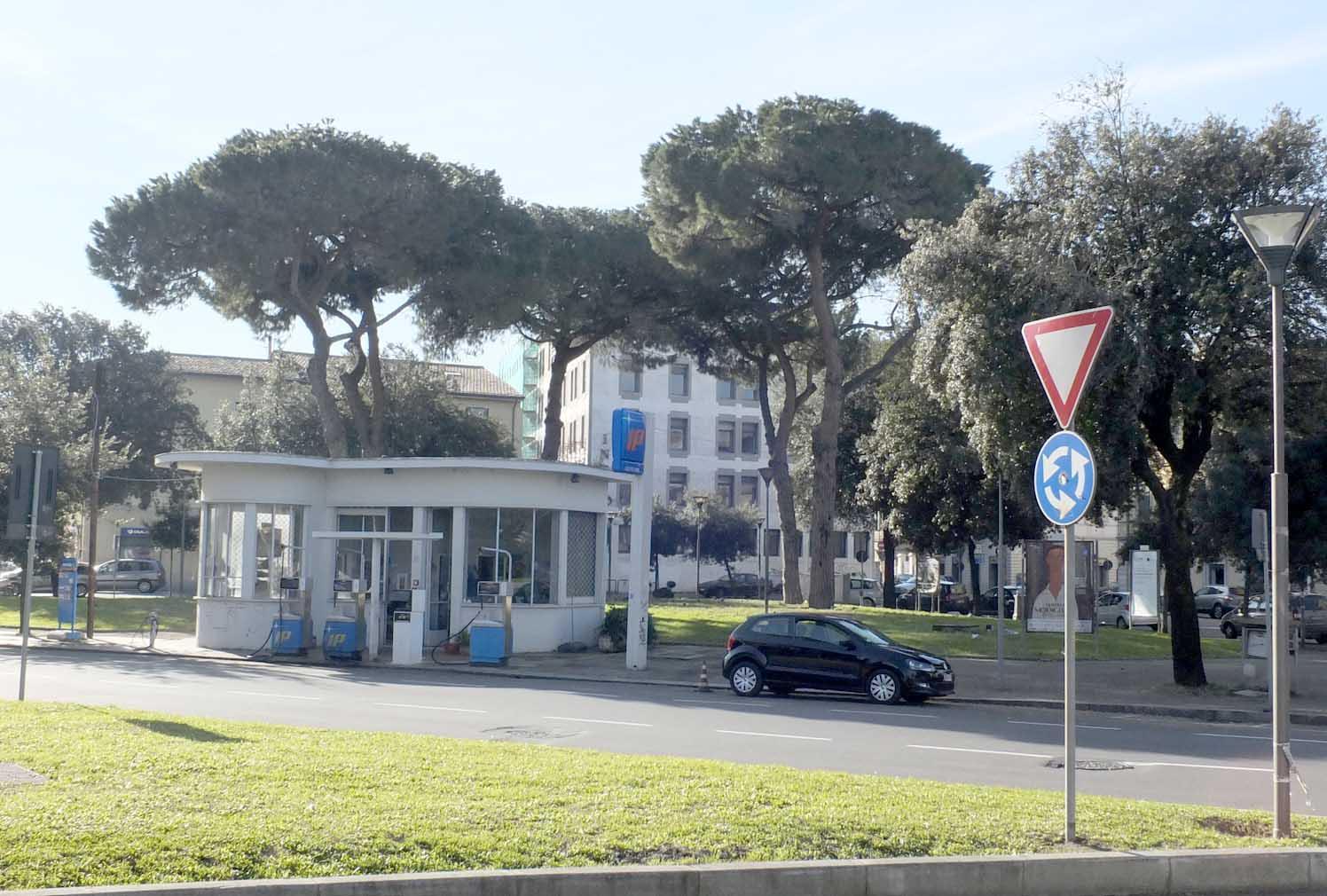 I pini di piazza Guerrazzi presi d'assedio dagli storni