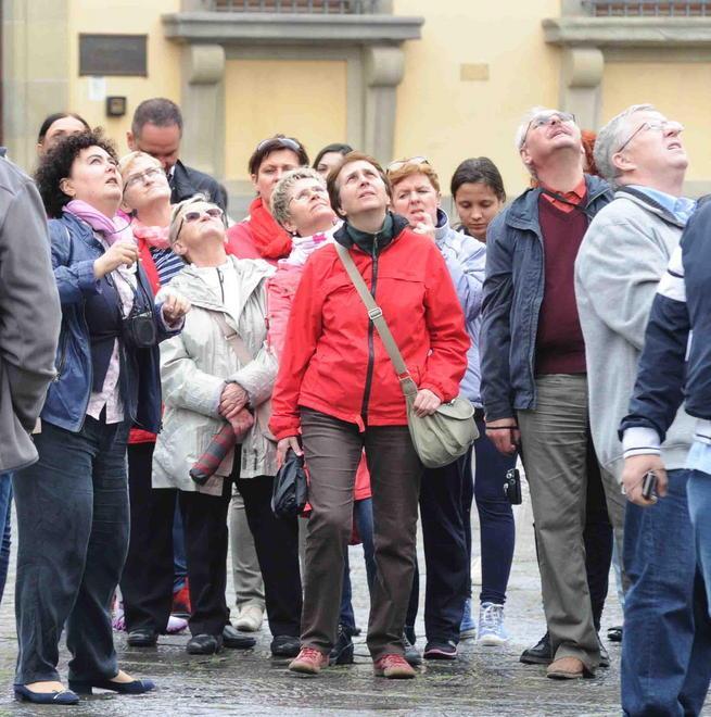 Sotto l’albero un’invasione di visitatori 