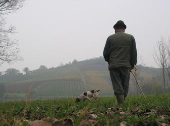 Tartufi, via libera alla raccolta nel Parco 