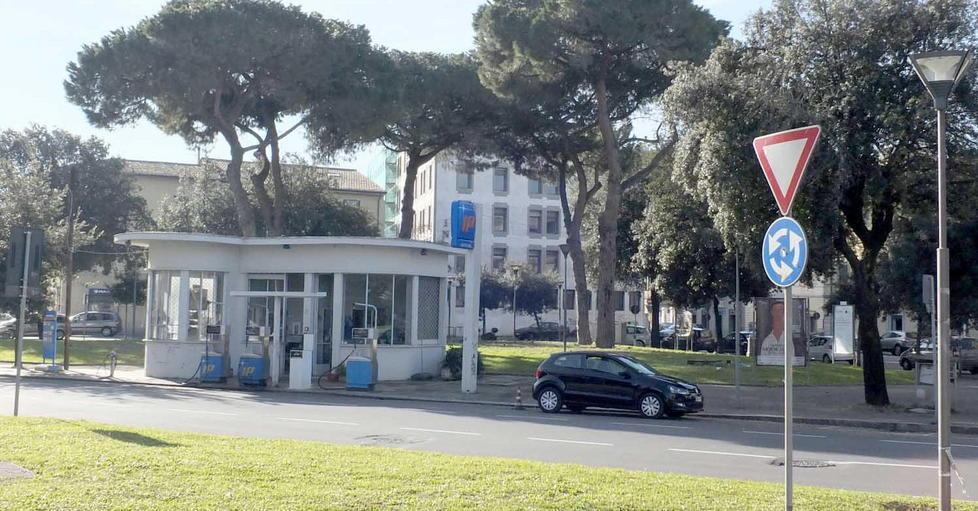 Storni, piazza Guerrazzi è assediata dal guano 