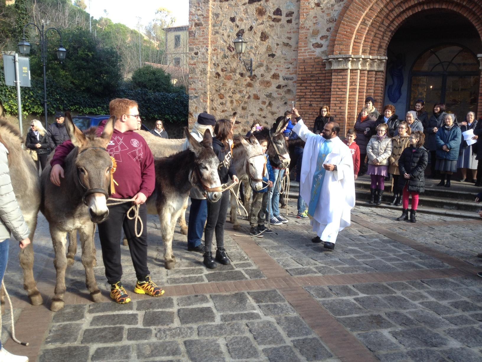 La benedizione agli asini (foto Giò Di Stefano)