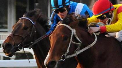 San Rossore non conosce soste: oggi si corre