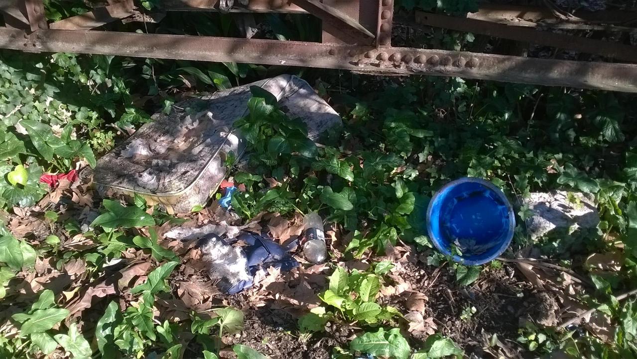 Rifiuti nello sgambatoio a Porta a Mare