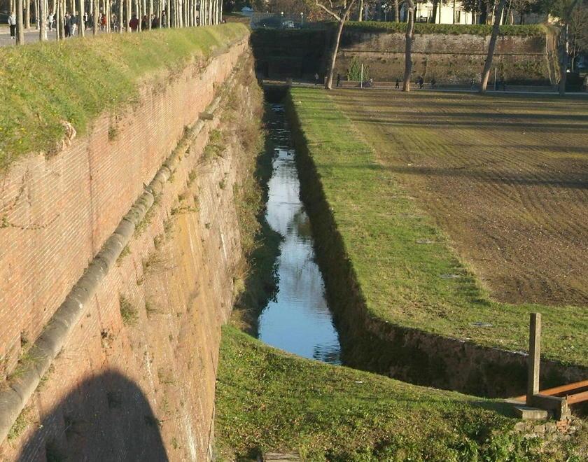 Poliziotto libero dal servizio salva cane caduto dalle Mura 