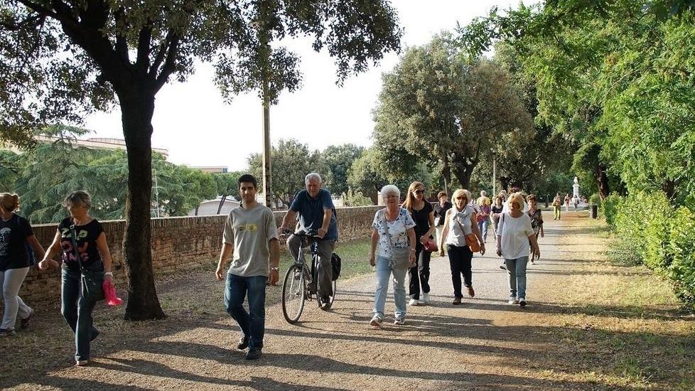 Due progetti per la pista della discordia