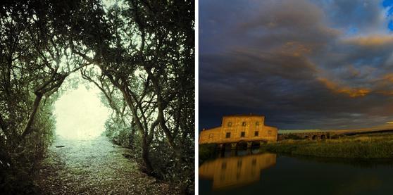 Toscana Batticuore, ecco le foto vincitrici