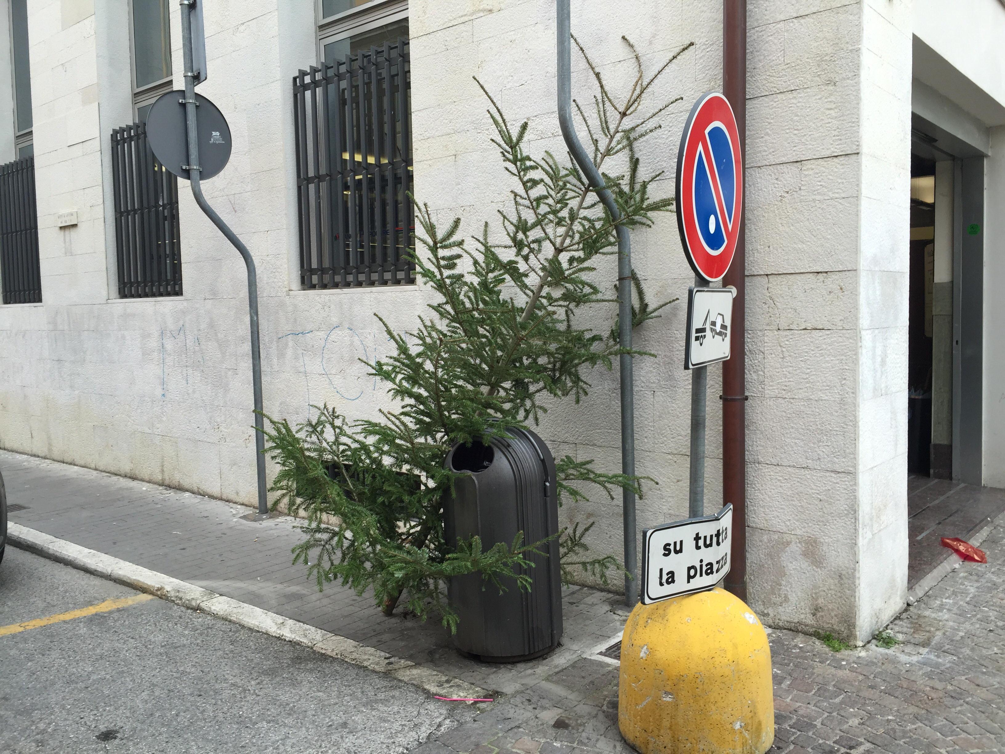 L'albero di Natale al cestino in via castelli a Pontedera (foto Franco Silvi)