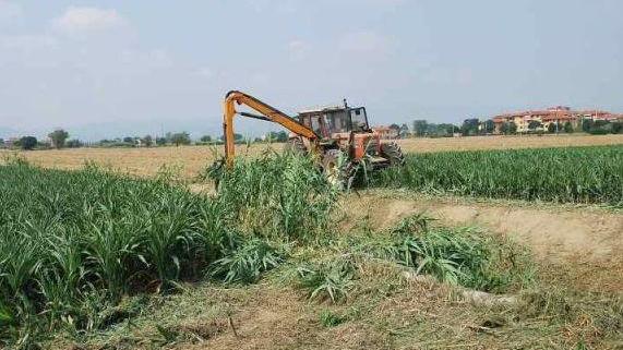 «Imu agricola, per ora non paghiamola»