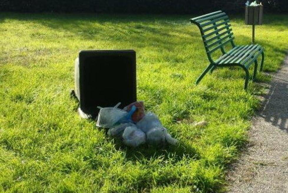 Topi e spazzatura nei parchi 