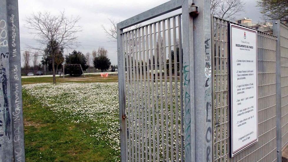 Cane ucciso nel parco «È una polpetta killer»