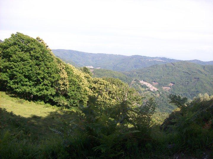 Una panoramica dall'alto del Paese di pontito in emzzo ai boschi della Svizzera Pesciatina